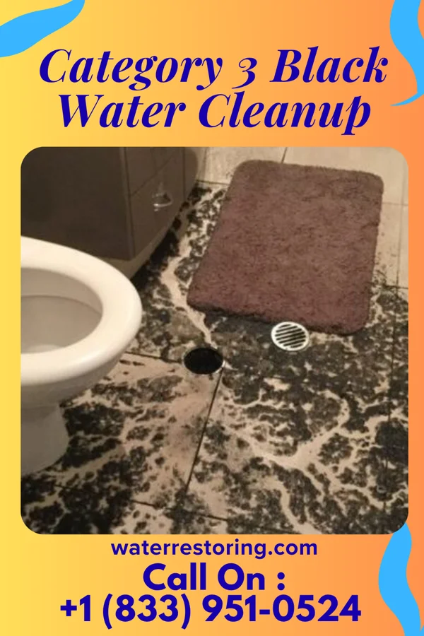 Category 3 Black Water Cleanup in Norton, VA
