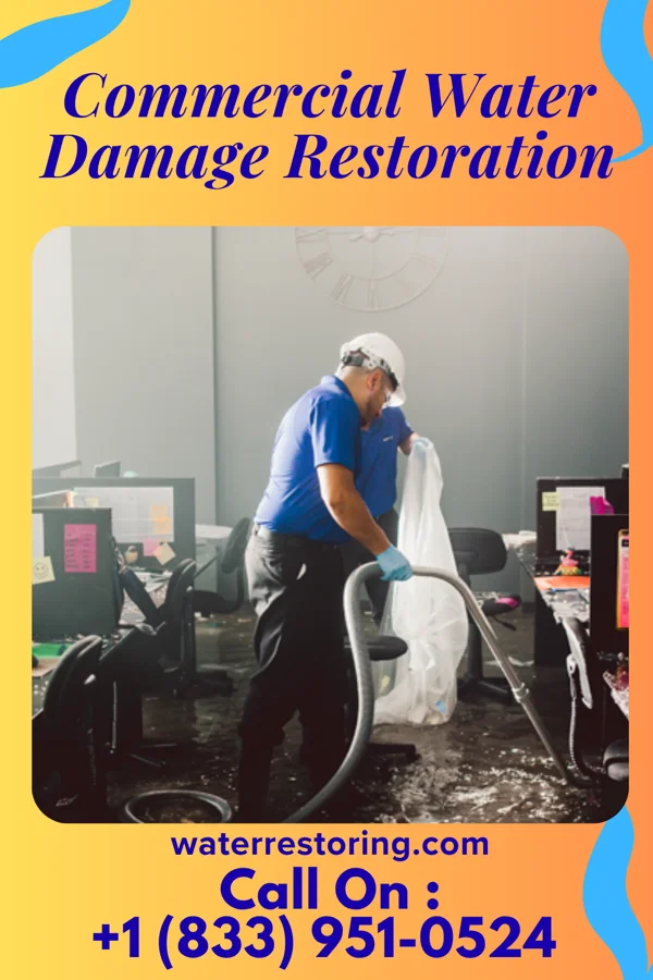 Commercial Water Damage Restoration in Norton, VA