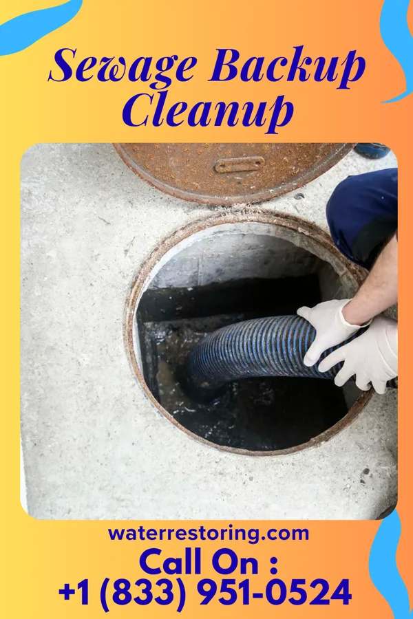 Sewage Backup Cleanup in Norton, VA