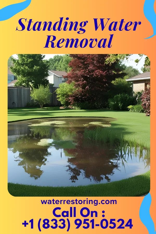 Standing Water Removal in Norton, VA